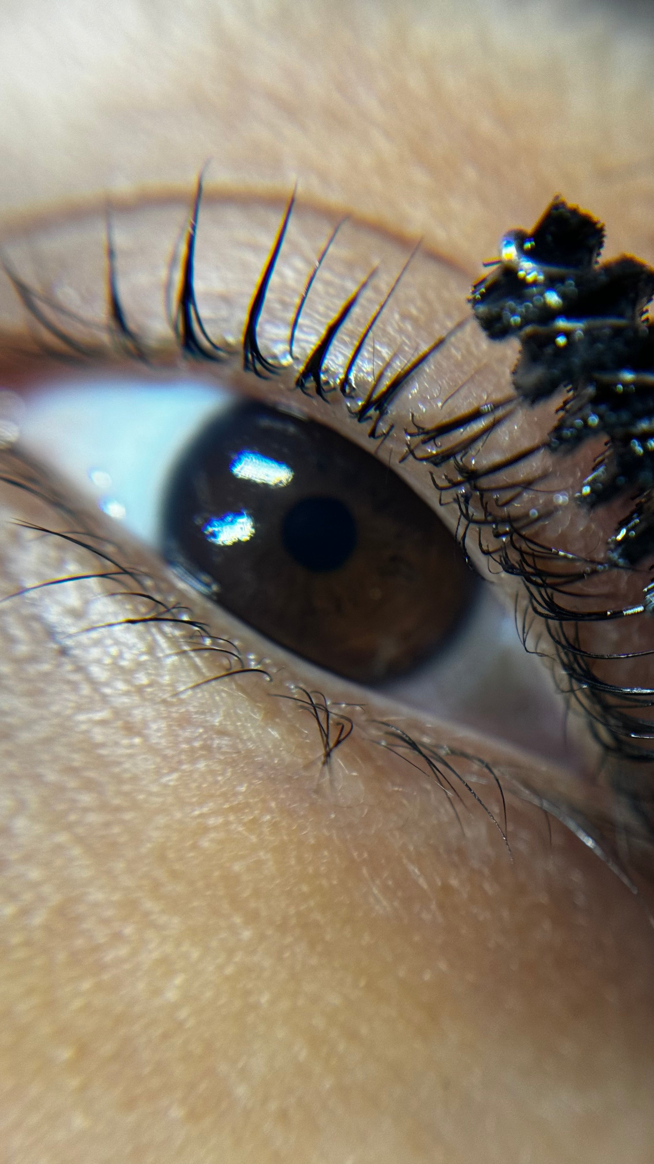 Hyaluronic Lash & Brow Amplify Serum